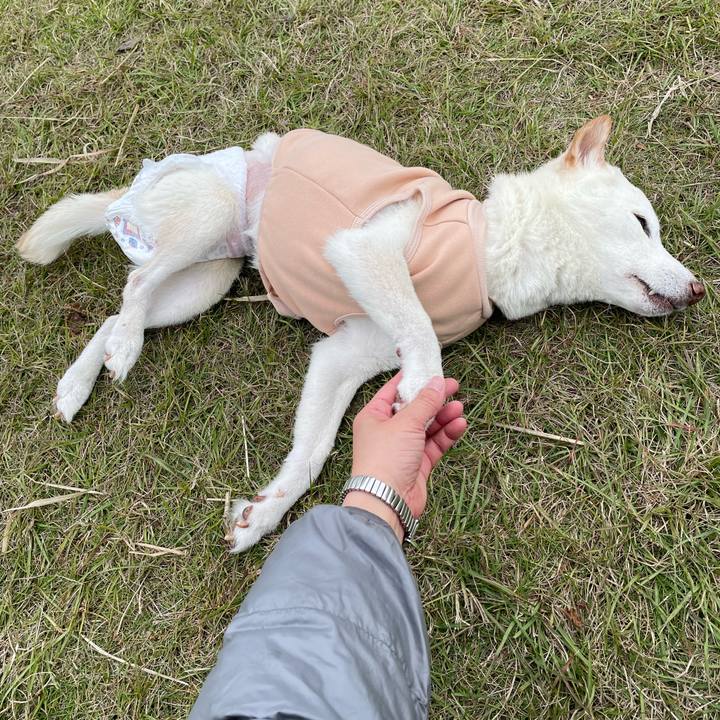 Be346edf c114 45fb 90f2 e3dbb64a4620 1668856581130