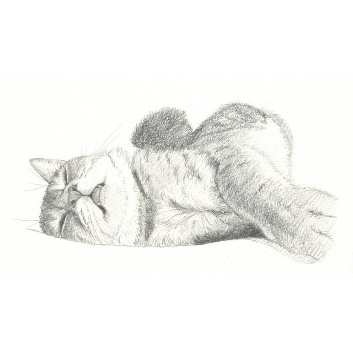 Be349b29 4bf0 429e 8b2b 907683276333 1540730996091