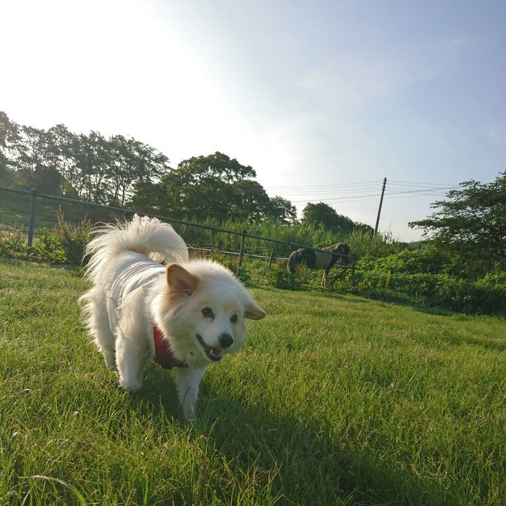 Be34d59b 1313 40c1 bbc4 9df64e751e20 1534194733425