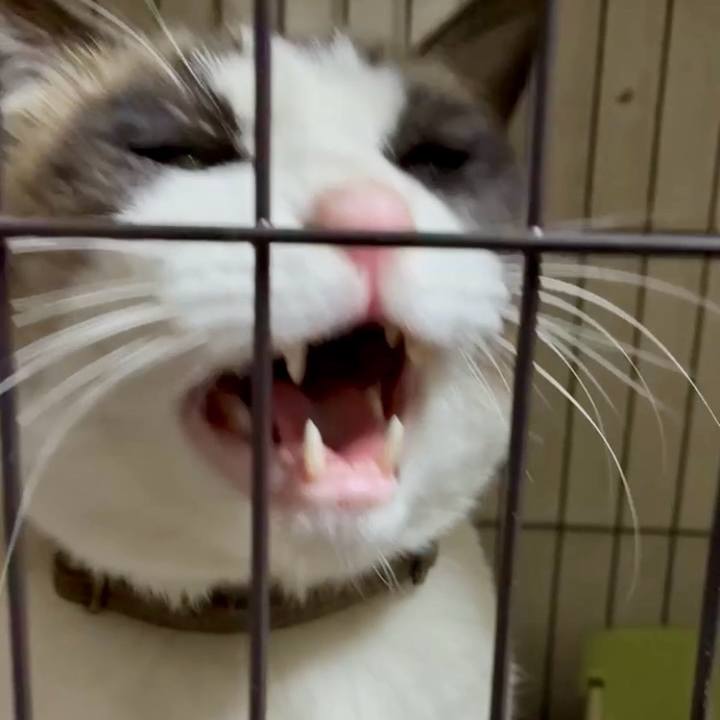 Be34d5c6 6e5e 4103 a28d 3965b8c57443 1767701982007