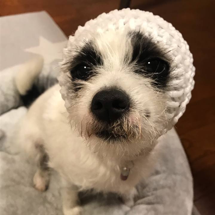 Be353610 bd52 4bb5 8a32 78dde9aeefa9 1539259966538