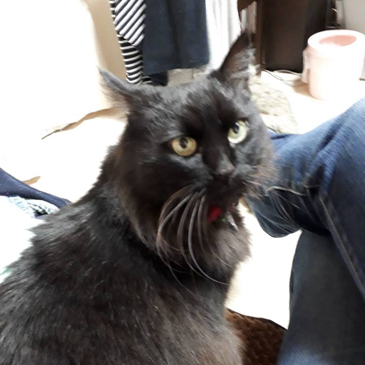 Be3559f6 ecf9 4d62 848f 0f8c09e4f893 1521798223105