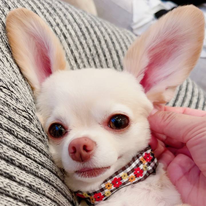 Be35602a f087 4153 929e 91af391ee3c9 1721566108038