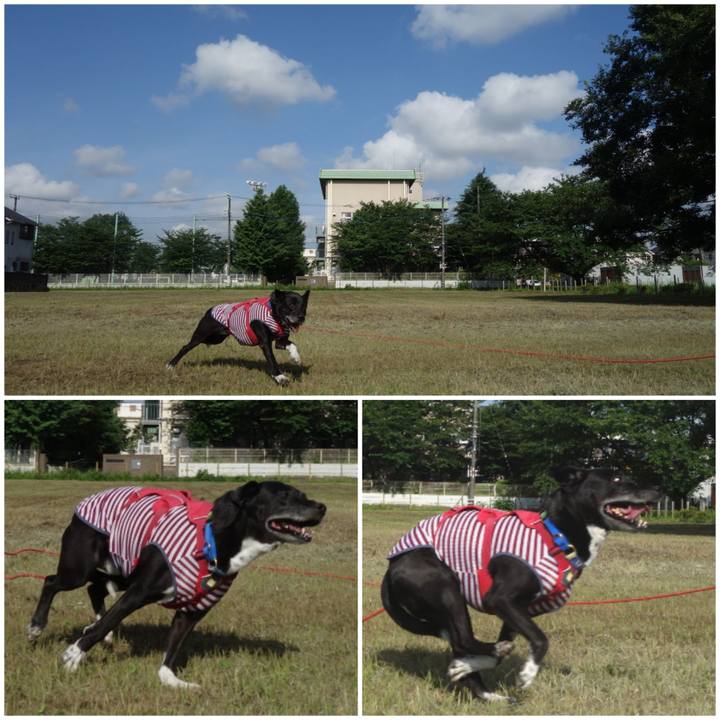 Be3570e1 b569 481f 96de 39c13f6ccca1 1687308867529