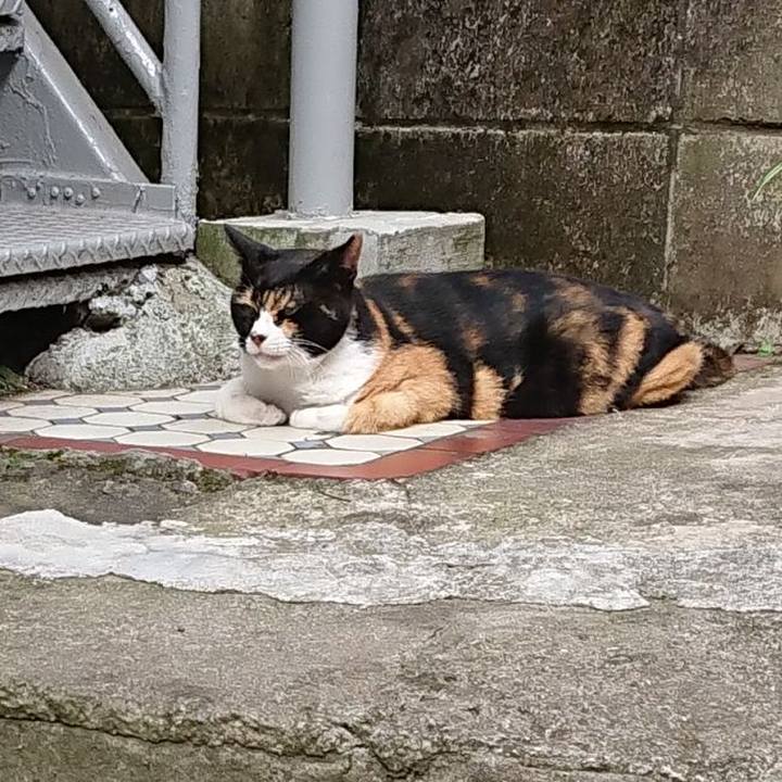 Be357916 49f0 452e 90cd 960d3b6ed78e 1691726106939