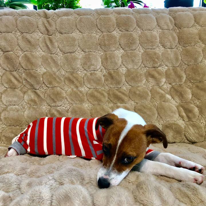 Be35b5f9 c386 4fa1 adf0 6690be5bb438 1527806701121