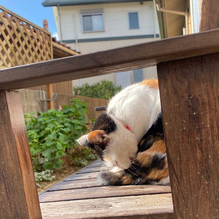 Be35c1bf 370c 4b87 b2a4 4b4c9334f893 1640597057588