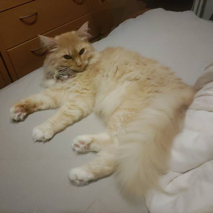 Be35d040 d0da 40c8 bd8f 537b2046599c 1724328651032