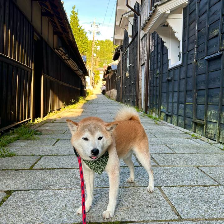 Be35d649 afef 4c2d 9e35 d428cc60daa0 1755514095928