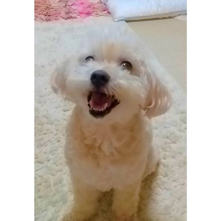 Be35e4d2 d824 4af7 a97e 03d390171514 1629809607129