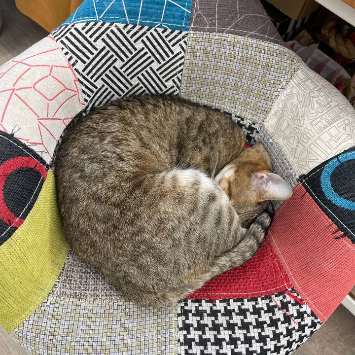 Be35f4e9 c0a9 422a b71a c9a3519b0721 1738397120066