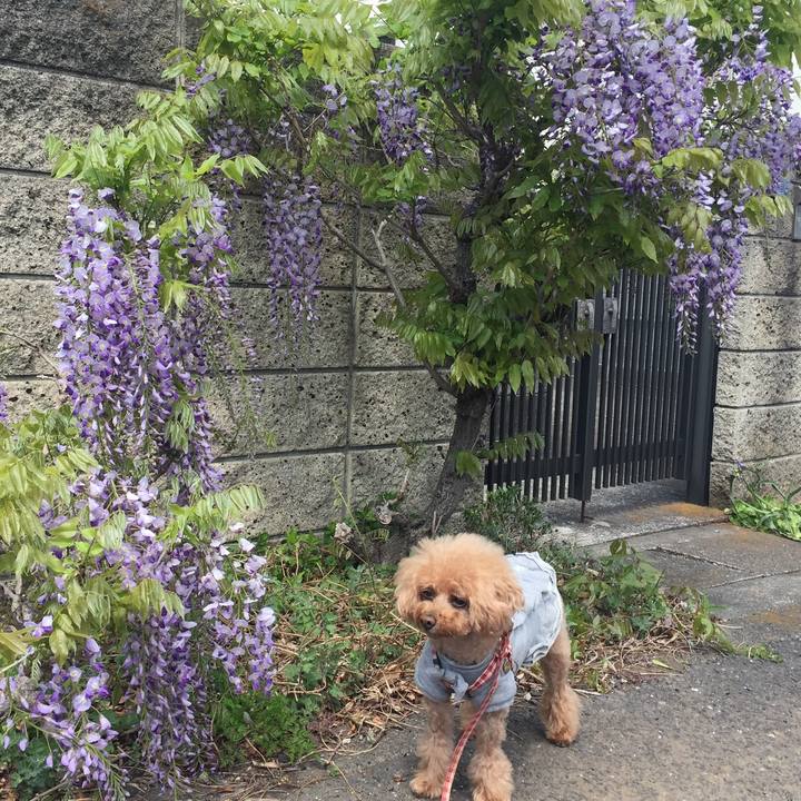 Be35f97a 8132 4ee2 837f efca19df933c 1523403576747