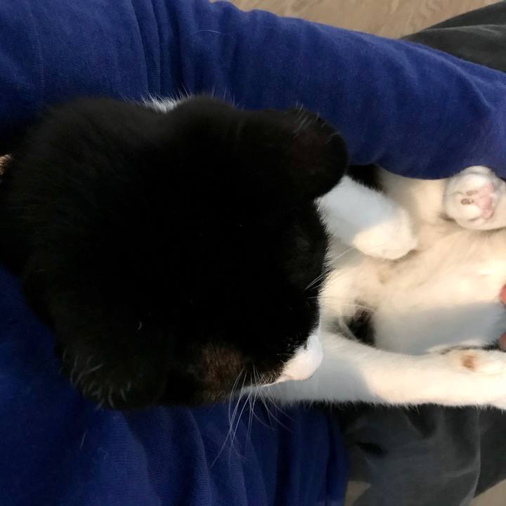 Be3607fc 4fd0 4467 aa9a 5efe8e1d0969 1552694401089