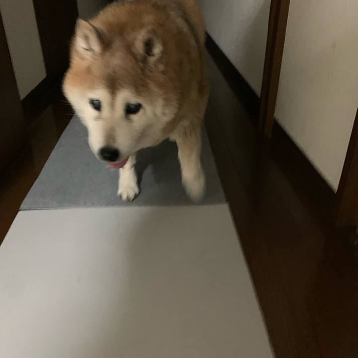 Be360e9a 7324 4f31 8954 9ec9fb8afd38 1653999106731