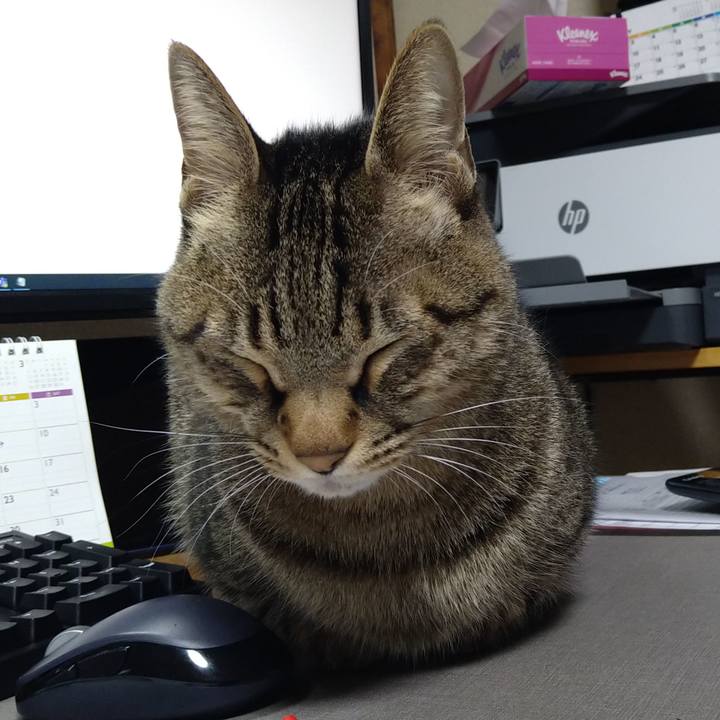 Be3656b2 990f 45d7 80eb 967e6f95814a 1670830007356