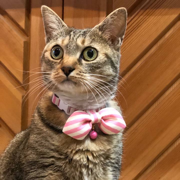 Be36576e e624 4886 ac2f ce16f1681cac 1651219888813