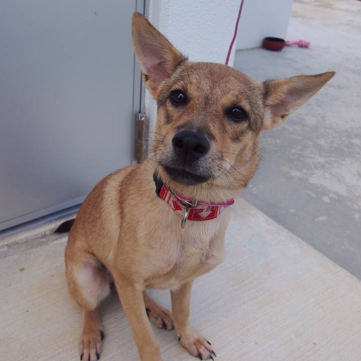 Be366763 e4b7 4b63 9a78 ad3b0770bac6 1538906108631