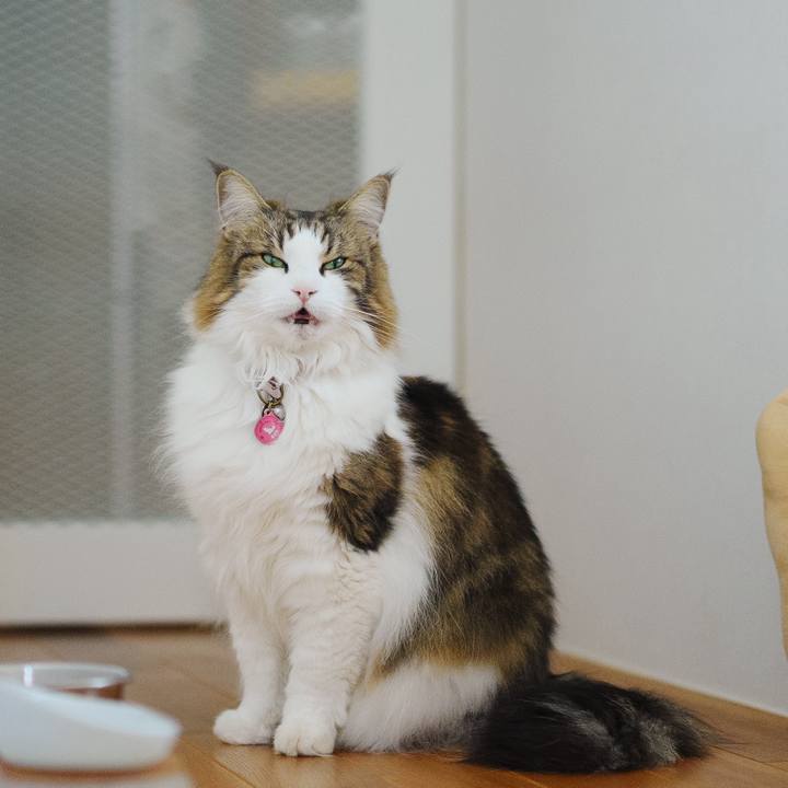 Be36a0f6 cc2d 46af a0ac 52ce44fb08f9 1711874760893