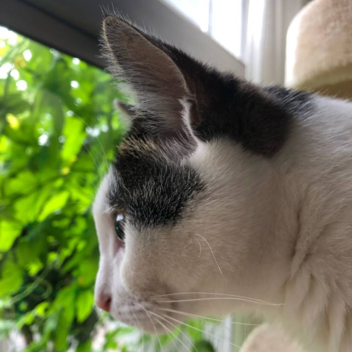 Be36f0f8 d02b 4c24 b599 f325946d16ca 1688768616129