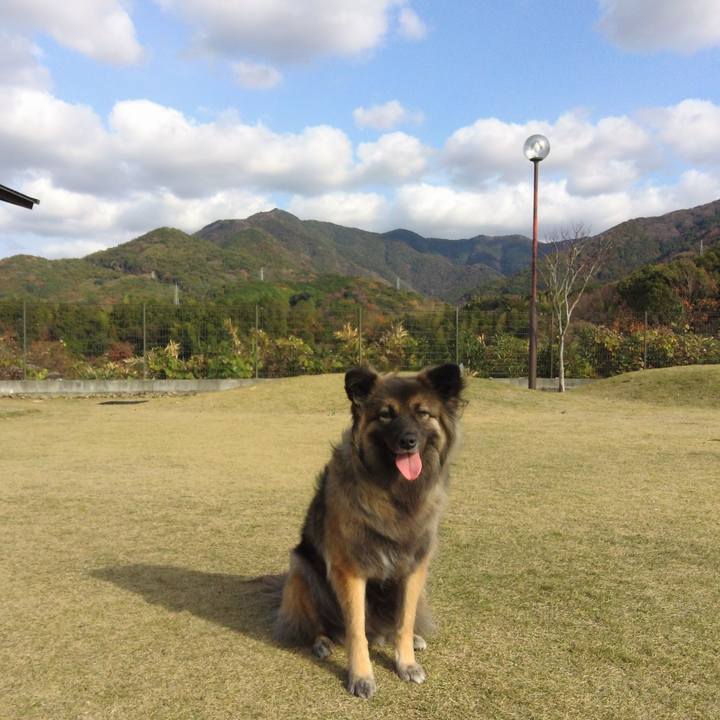 Be3713d8 96b1 4b54 bcd2 bbee5c6f1605 1766299657225