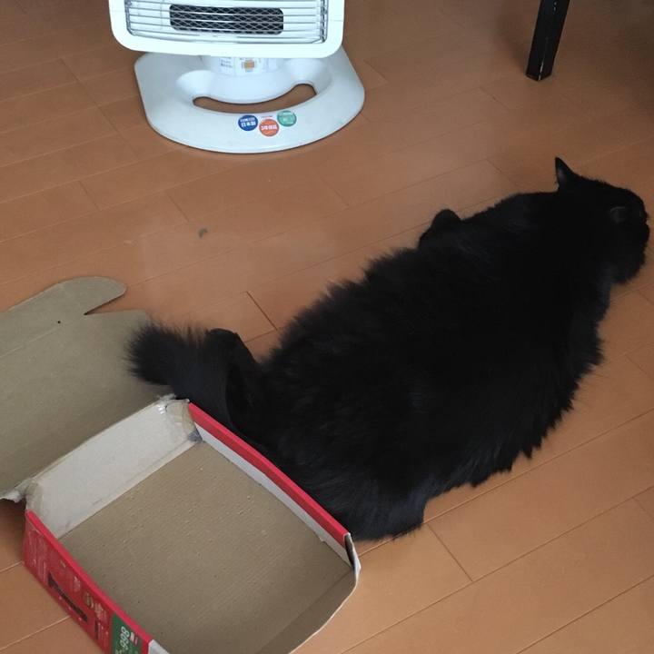 Be372c36 4a7b 4053 b496 2127492b9e41 1539825511367