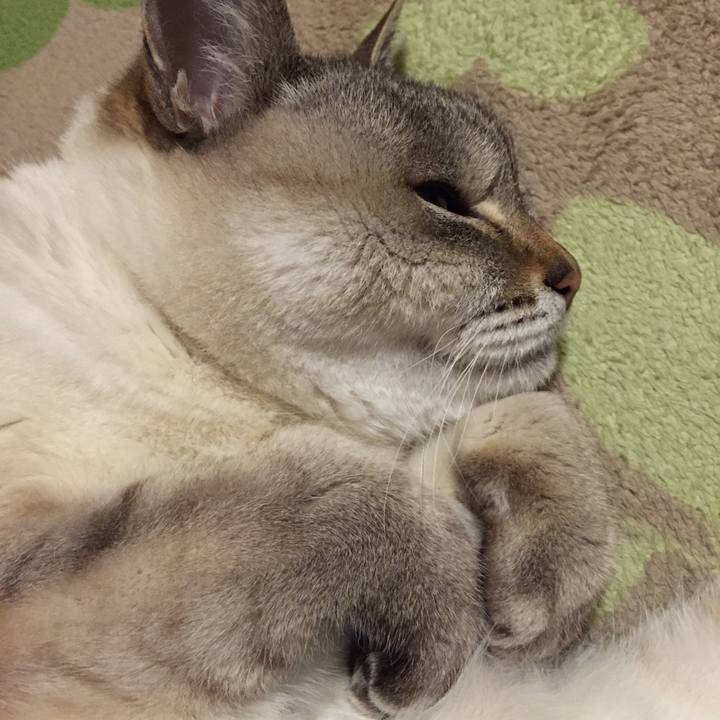 Be374312 f550 405f 977c 946621d15823 1549719456780