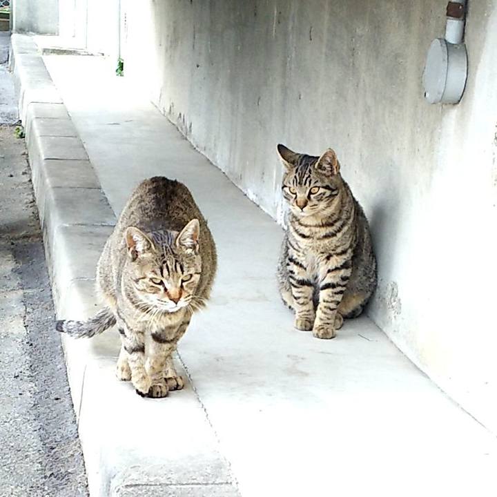 Be374591 eb55 4596 8bda 89947e8640a0 1550980987983