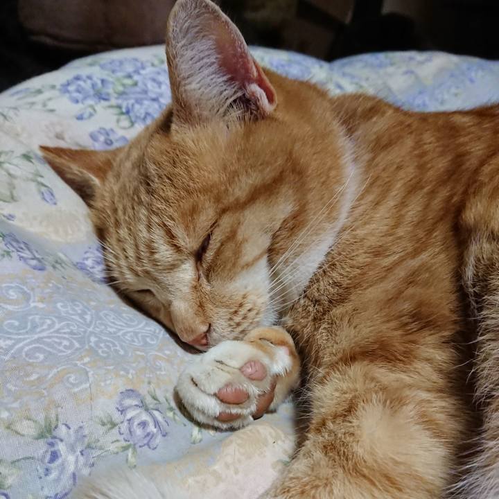 Be375054 d225 40ae 8ec6 07bd3cd26542 1576843842613