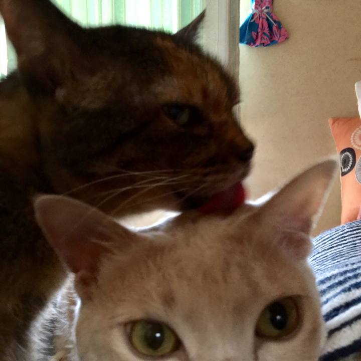 Be3755bc c7f1 4c14 91da 5f64a2f38663 1597839684000