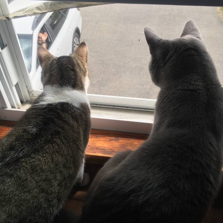 Be375b2b 0e79 4995 b417 6a4d153ae07f 1633568924948