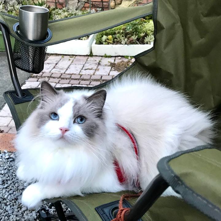 Be37825e fac0 4fa6 8006 91b070a517e6 1597697495464