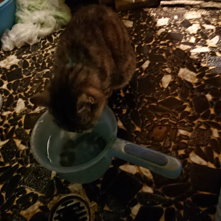 Be3786a5 0c19 46fb 910d 200c433ea2c4 1567161007448