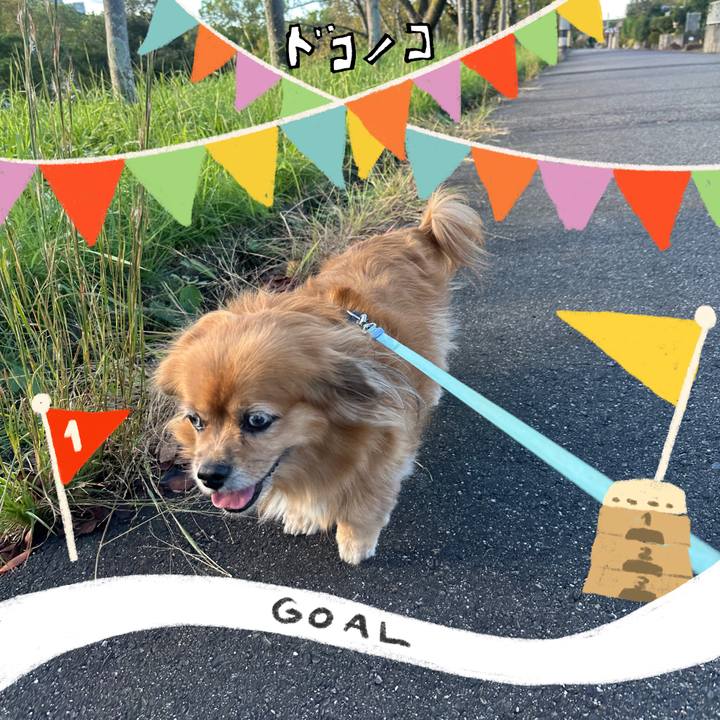 Be37a25c 4337 4260 bd9a e0017ba0c927 1729380662682