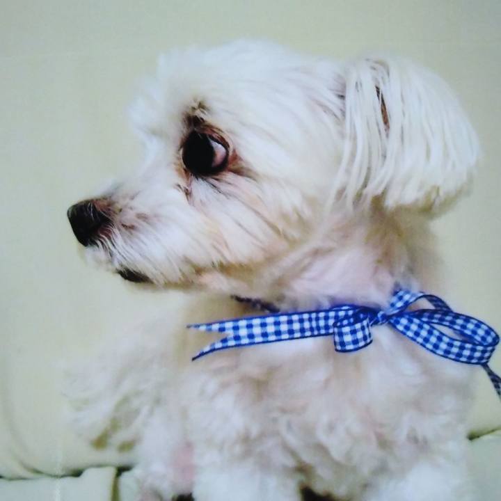 Be37c33a 22dd 48ff 9a66 203530057518 1622908156569