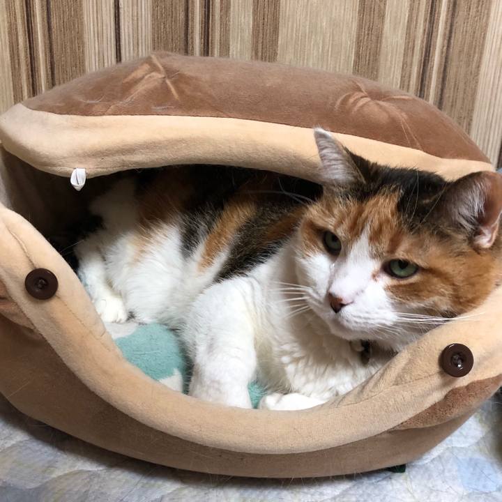 Be381ea0 e542 44bb b309 65b96cf73db2 1556499687445