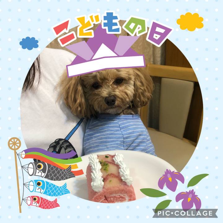 Be3824a2 96de 4109 a22f 89c49b29bef9 1683301903109