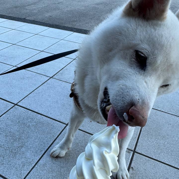 Be384d98 50db 4e59 a0ba 0c549375e592 1773298437841