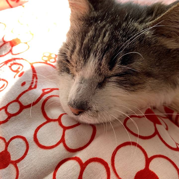 Be3864a7 45df 4e43 937d 3163bbe05a92 1580617362812