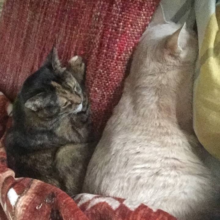 Be386df5 e767 48f2 b617 42aca3e1e2d9 1582682921382