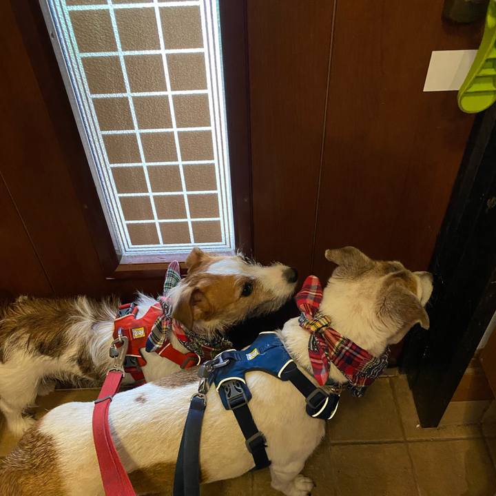 Be3884c2 3868 47de 961e 2e609dfa2767 1657924006552