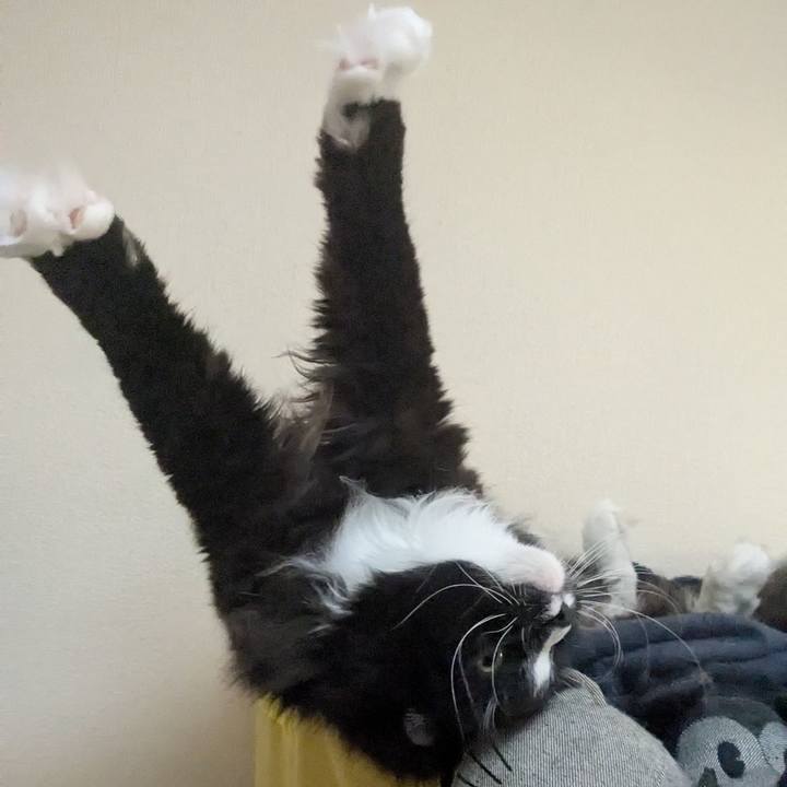 Be38d7e7 7b63 49c1 b9b8 107223efd810 1741587322302