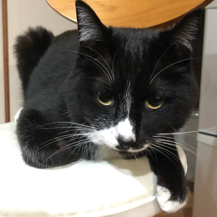 Be38f7fb 9e24 40aa 91e8 56e2d02d5c27 1621394598986