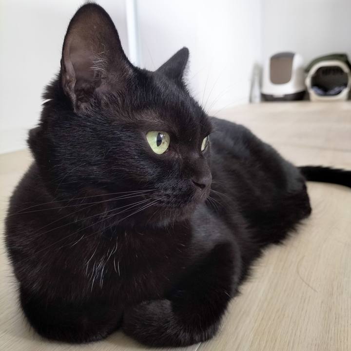 Be39070e 9e06 4616 8431 c698ca72ae0e 1693780466396