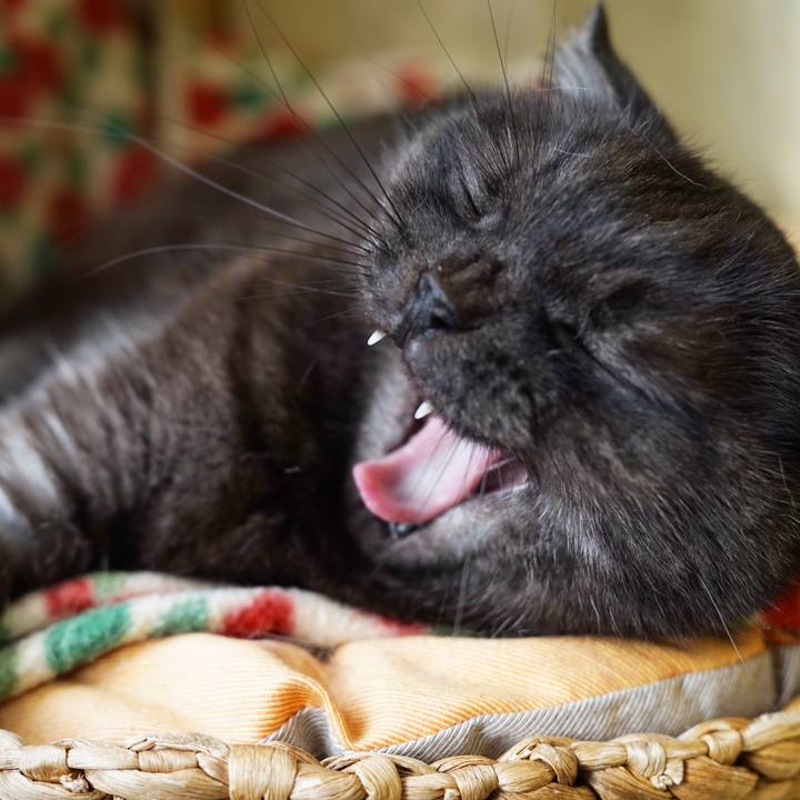 Be392fe7 75da 470a b52a 75587ec311e0 1584858385735