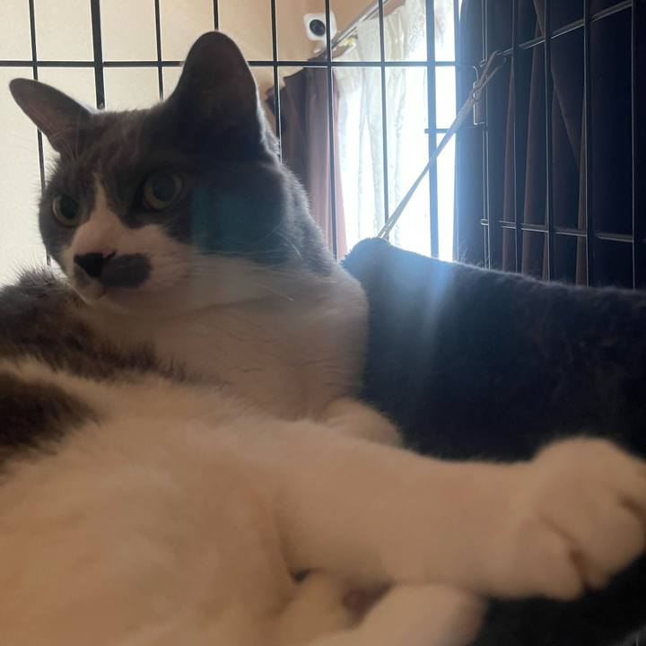 Be3933c9 edf1 4ade 97f5 066c9d53e509 1749603368928