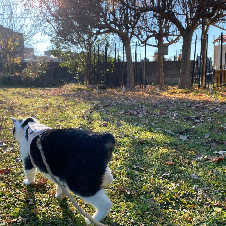 Be3979b1 efe6 46a5 b74a 2981df797c49 1639299262274