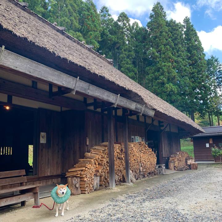 Be39850c 1398 4857 82e1 2d1b069deea8 1634373662445