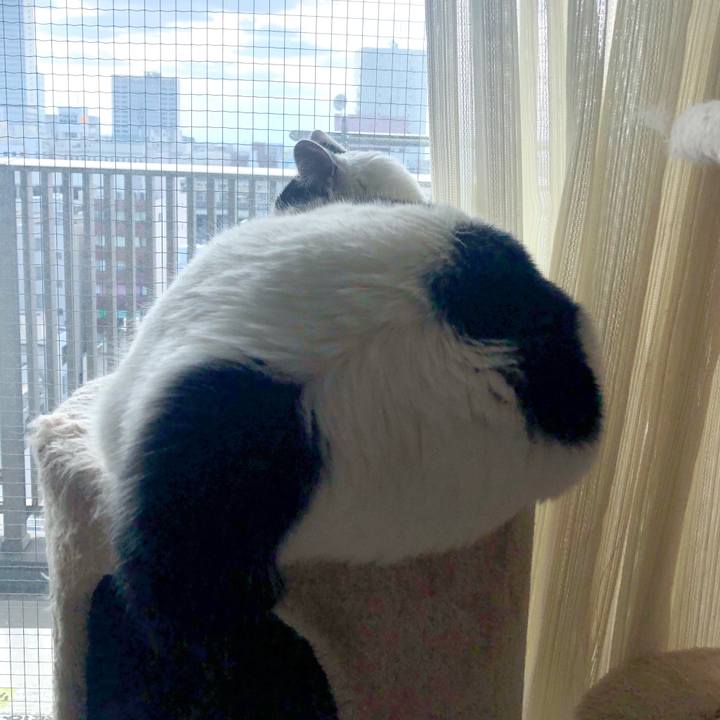 Be39f177 06eb 4aa3 b412 7e744e54e811 1586582315345