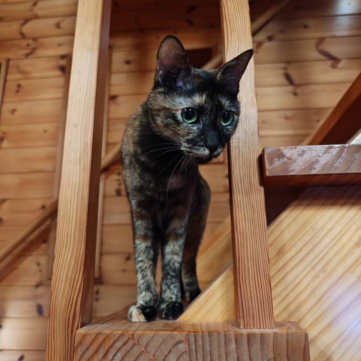 Be39f7f2 6c1a 47fc 9003 46e4969d8ad9 1763125303638