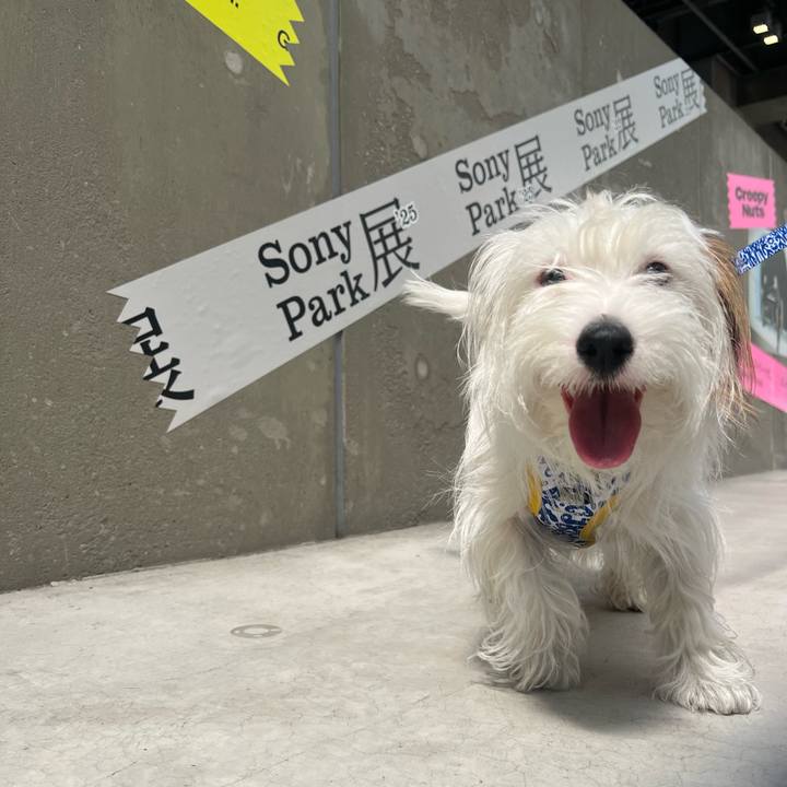 Be39fcab f97e 49b4 96ce b8274baa36c8 1746363712503